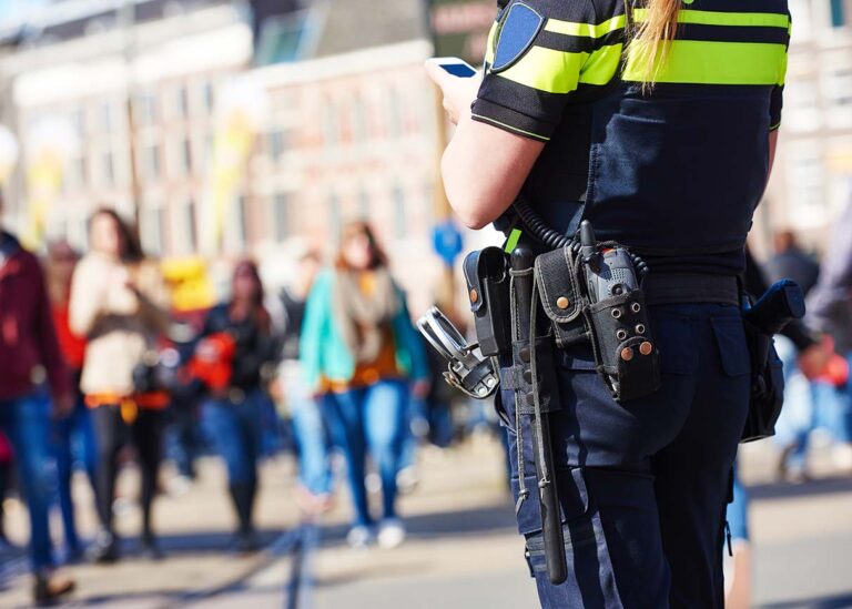 wat doet een adviseur openbare orde en veiligheid