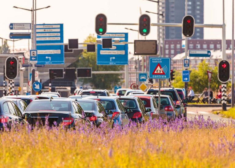 verkeerskundige opleiding